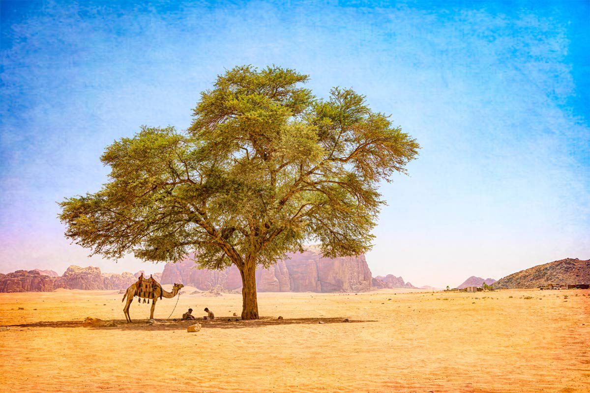Wadi Rum – Jordanië